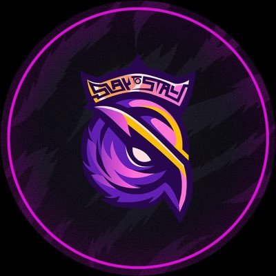 S2GEspor's profile picture