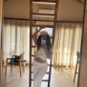 perramaldita💋's profile picture