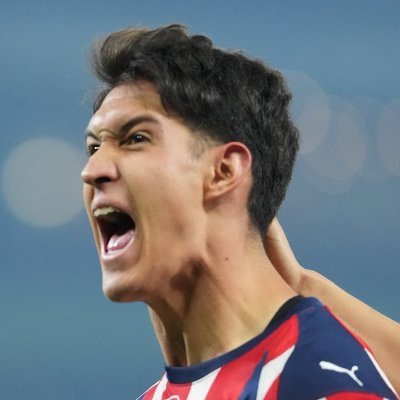 toolentinoo's profile picture