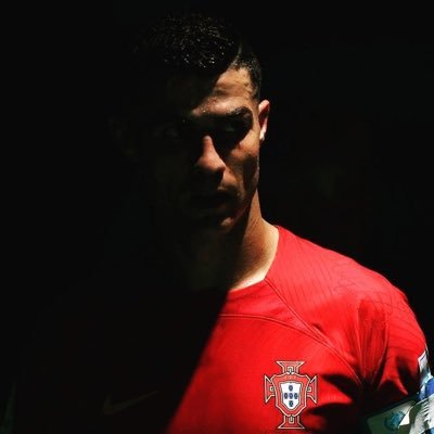 🇵🇹's profile picture