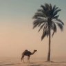 & مسراح القصيد &'s profile picture