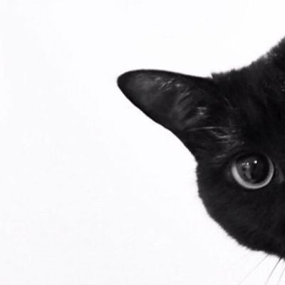 Kucing Nikmat's profile picture