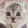 et's profile picture