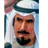 Profilbild von Abdullah🇰🇼