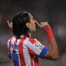 فالكاو's profile picture