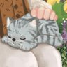 ⤜มี๊ไวน์เวิ่น⤏🍷เบิ้ลข้าวสองจาน 的头像