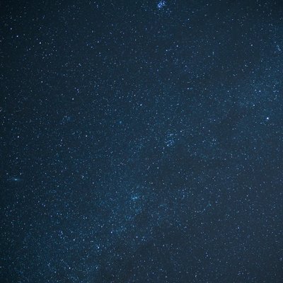 Dunesuw's profile picture