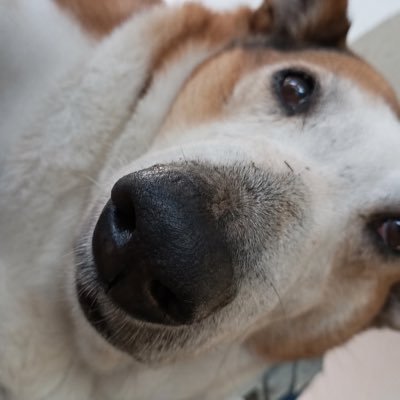 tinki mundinho silveira br's profile picture
