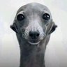 BRUNNO profil fotoğrafı