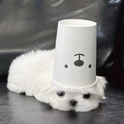 Casin32583095's profile picture