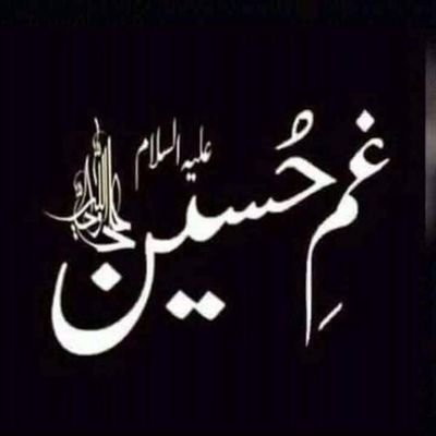 SYED HASSAN SHAH's profile picture