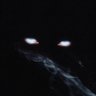 Фото профиля Void Gazer