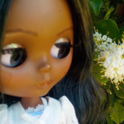 Princess Koi 🎼⋆౨ৎ˚⟡˖⋆'s profile picture