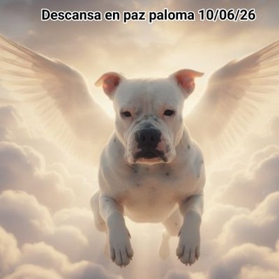 JorgeJaime_1's profile picture