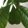 Фото профиля まる