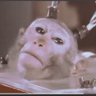 Brian Meyer's profile picture