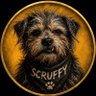 Scruffy's profile picture