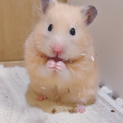 تلجرام حصريات's profile picture