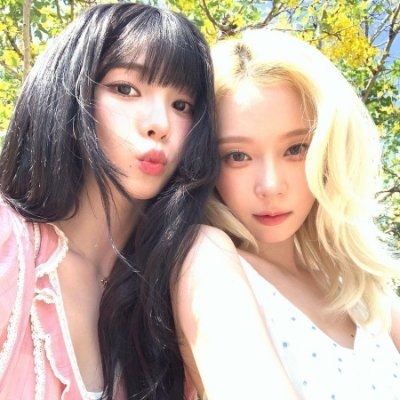 🍃🍋's profile picture