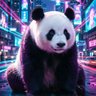 Jack Zhang profil fotoğrafı