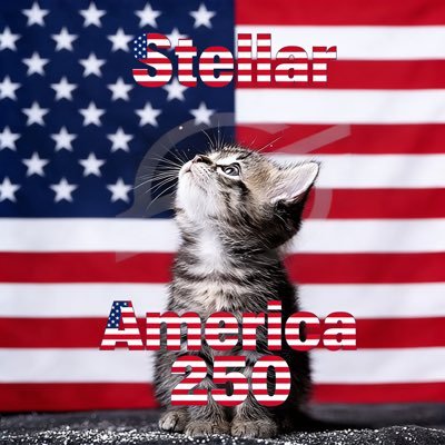 NeedACoffeUSA's profile picture