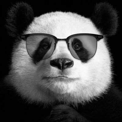 JettxMann's profile picture