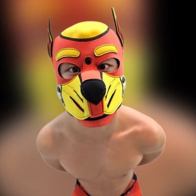 cumcontrolntp's profile picture