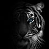Werda's profile picture