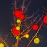 曾三爷 profil fotoğrafı