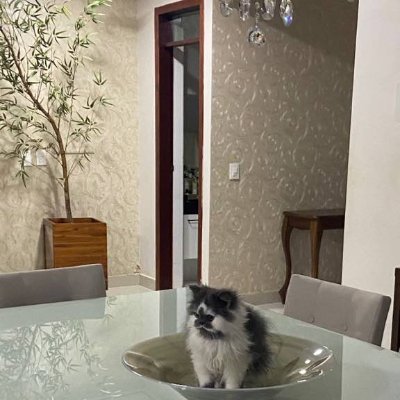 العربيه's profile picture