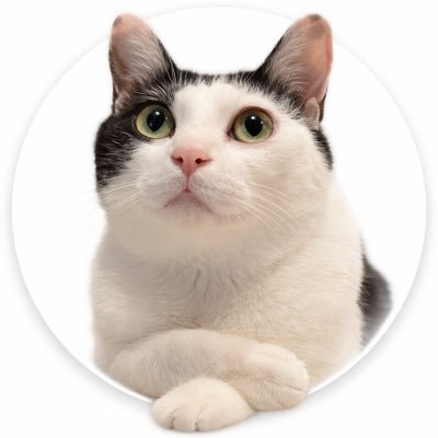 RIKORINfamily's profile picture