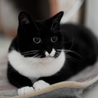 kaiap4bsqbp7f's profile picture