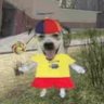 Profilbild von wild_waffles223 🏳️⚧️