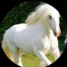 ال مهره's profile picture