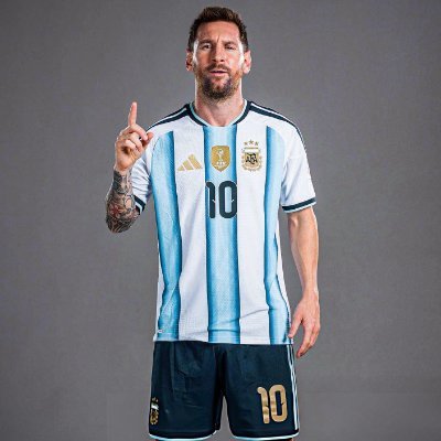 FevziAtaDemirt2's profile picture