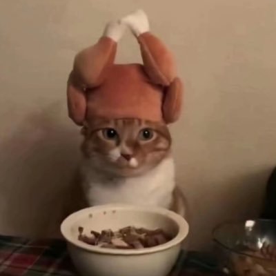 Wangjofnp's profile picture