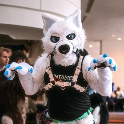 permafrostwolf's profile picture