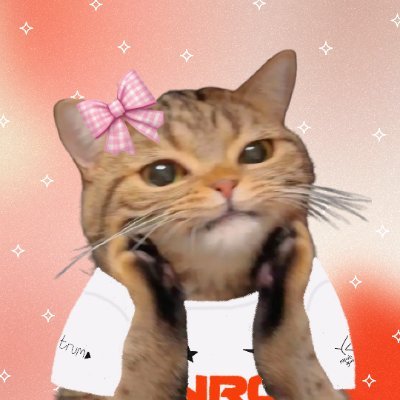 asterliic's profile picture