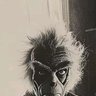 Grinch 的头像