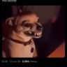 solv's profile picture