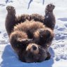 はるな profil fotoğrafı