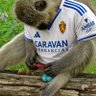 RBA1984's profile picture