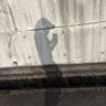 ïŒ profil fotoÄrafı