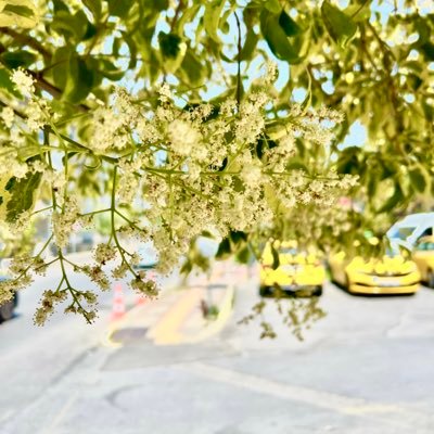 rna0903_ig's profile picture