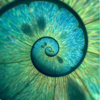 innsaeix's profile picture