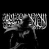 Almanfi 的头像