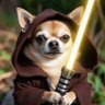 ガチノラ🐶aka無頼庵 profil fotoğrafı
