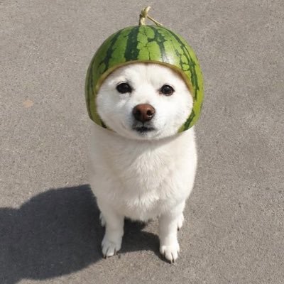 kyoonghyun__456's profile picture