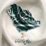 Фото профиля Saad