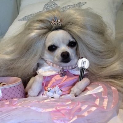 소금's profile picture